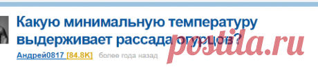 Какую минимальную температуру выдерживает рассада огурцов?