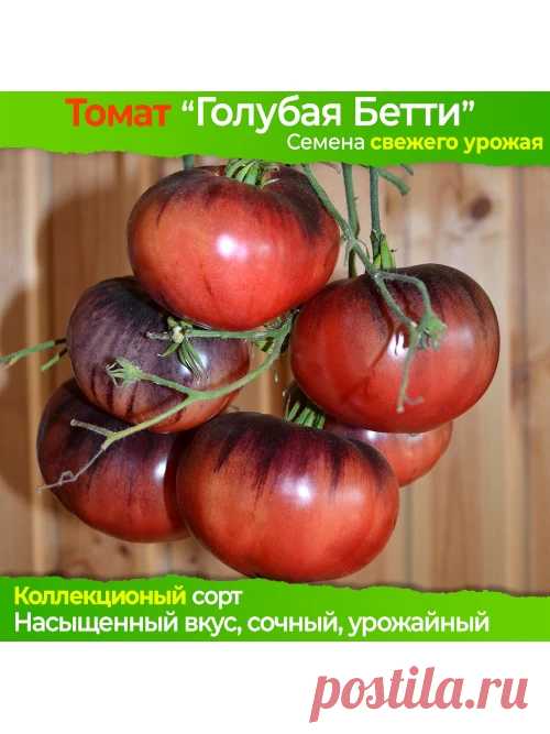 Томат Голубая Бетти в магазине Elya Garden - Семена