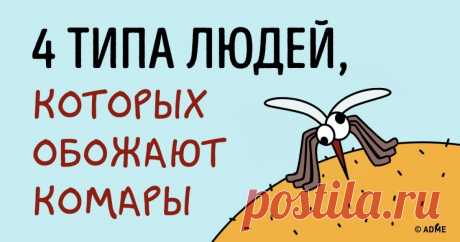 Ученые выяснили, что комары любят именно эти 4 типа людей
