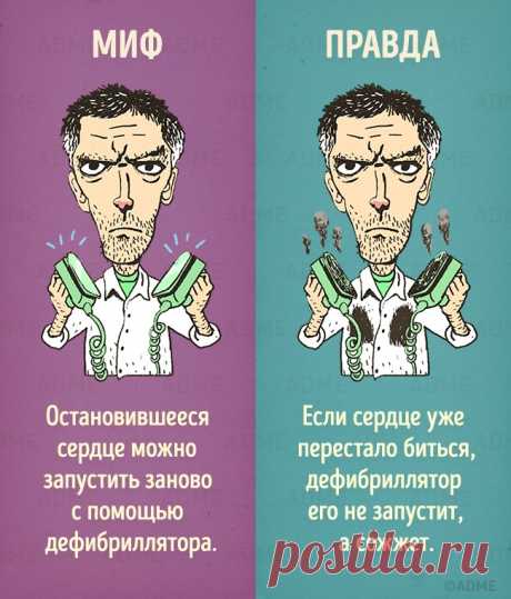 12 мифов, в которые мы верим из-за фильмов