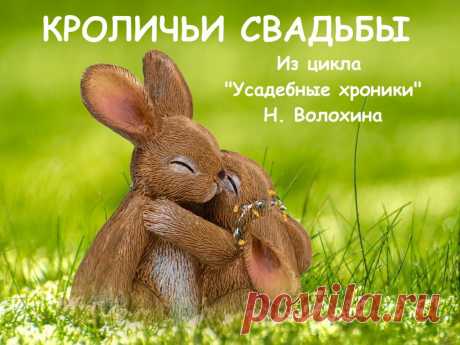 Три года назад мы, коренные горожане, переехали в село в российской глубинке. Оговорюсь, глубинка у нас цивилизованная –газ, интернет, водопровод, асфальт, небольшой городишко рядом (вот где жестокая провинция!). Остальное - изначально дебри. Запущенные дом, сад (трава выше человеческого роста) на 20-и сотках земли.
Сегодня усадьба преобразилась, расширилась до 70 соток. Выпас, картофельное поле, ухоженные сад и огород, теплица, постепенно облагораживаемый дом. Дом хороший, основательный, кирпи