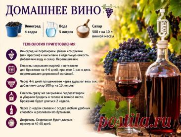 Домашнее вино из винограда
