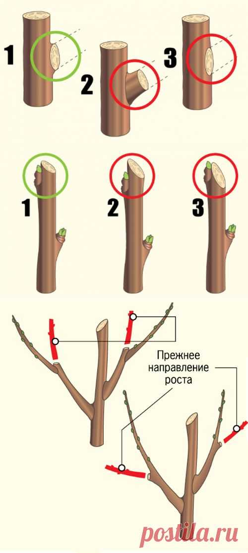 (+1) тема - Пять главных дел в весеннем саду | ОГОРОД БЕЗ ХЛОПОТ