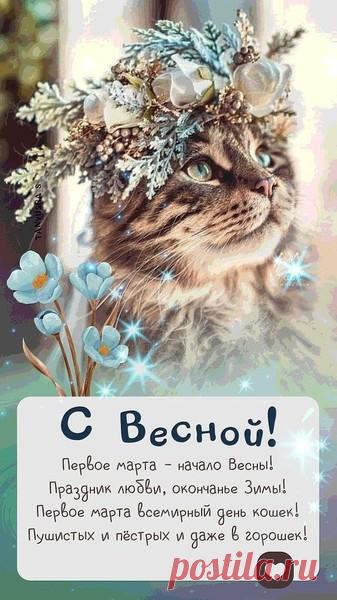 уродливый кот – ЯНКИНЫ ЗАПИСКИ, пользователь Vолшебница N. | Группы Мой Мир
