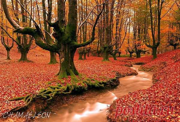 autumn
