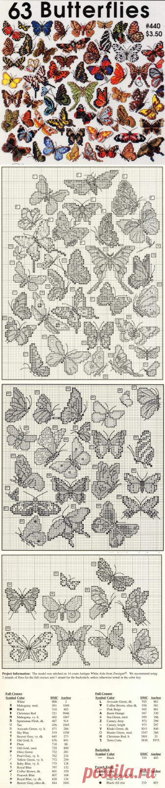 63 бабочки