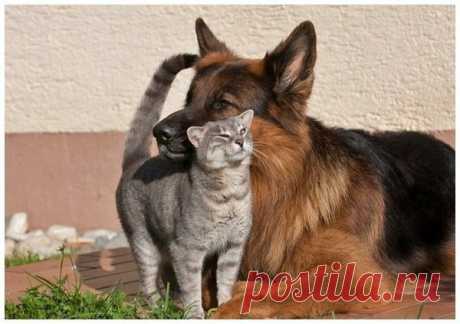 (6) Мой Мир@Mail.Ru