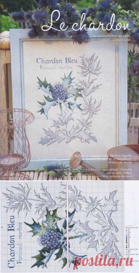Чертополох из серии &quot;Ботаника&quot; / Вышивка крестом / В рукоделии
