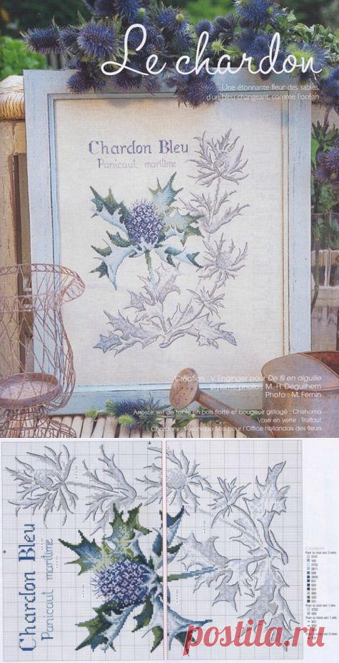 Чертополох из серии "Ботаника" / Вышивка крестом / В рукоделии