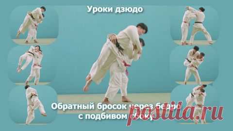 Дзюдо. Обучение обратному броску через бедро с подбивом сбоку. Уроки дзюдо.Utsuri-goshi. - смотреть видео онлайн на Digital Wildberries | 41448 Обучение обратному броску через бедро с подбивом сбоку. Уроки дзюдо.Utsuri-goshi. Дзюдо. Борьба самбо. Обучение. В этом коротком фильме вы увидите, как выполняется бросок, как берётся захват, как выполнять приём в движении. Бросок демонстрируют лучшие японские дзюдоисты. Фильм предназначен спортсменам и тренерам.   - Видео № 41448 на Digital Wildberries