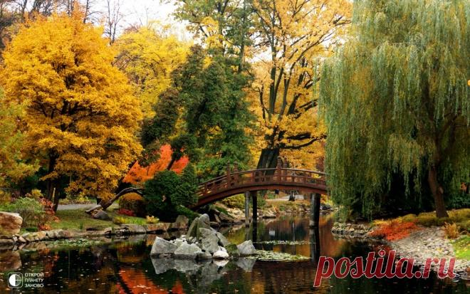 Уютный Вроцлав - Путешествуем вместе