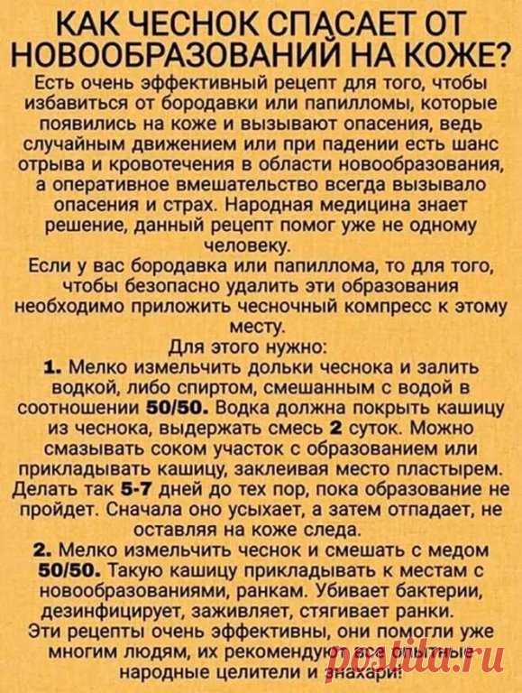 Чеснок- спасатель