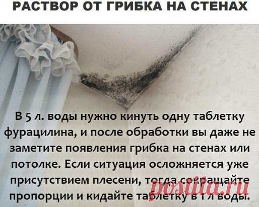 ✔ ПОЛЕЗНЫЕ СОВЕТЫ : 
✪ Сохраните чтобы не потерять.