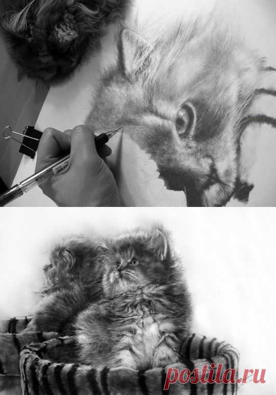 Художник Paul Lung. Рисунки простым карандашом