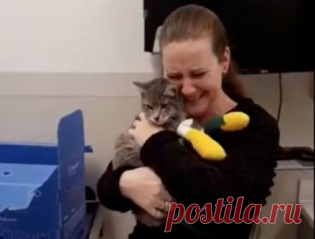 Женщина нашла кота, потерянного в пламени пожара: трогательное видео Во время эвакуации Мэйсон сбежал из переноски и удрал в неизвестном направлении, испугавшись взрыва.