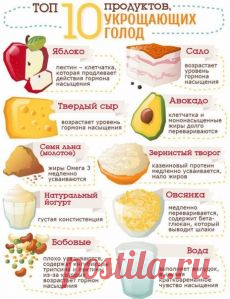 ИНФОГРАФИКА | Фотографии и советы на Постиле