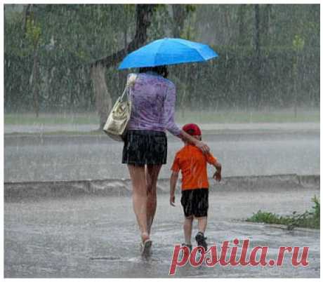 Дожди, дороги, встречи…