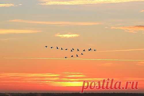 Осень – это сказка грусти и любви!.