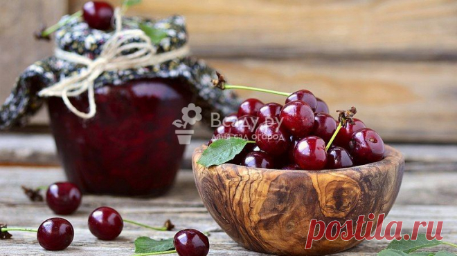 Черешня польза и вред для здоровья организма Польза черешни для здоровья: витаминный состав, применение в домашней косметологии, кулинарии, целебные рецепты. Польза и вред черешни при заболеваниях
