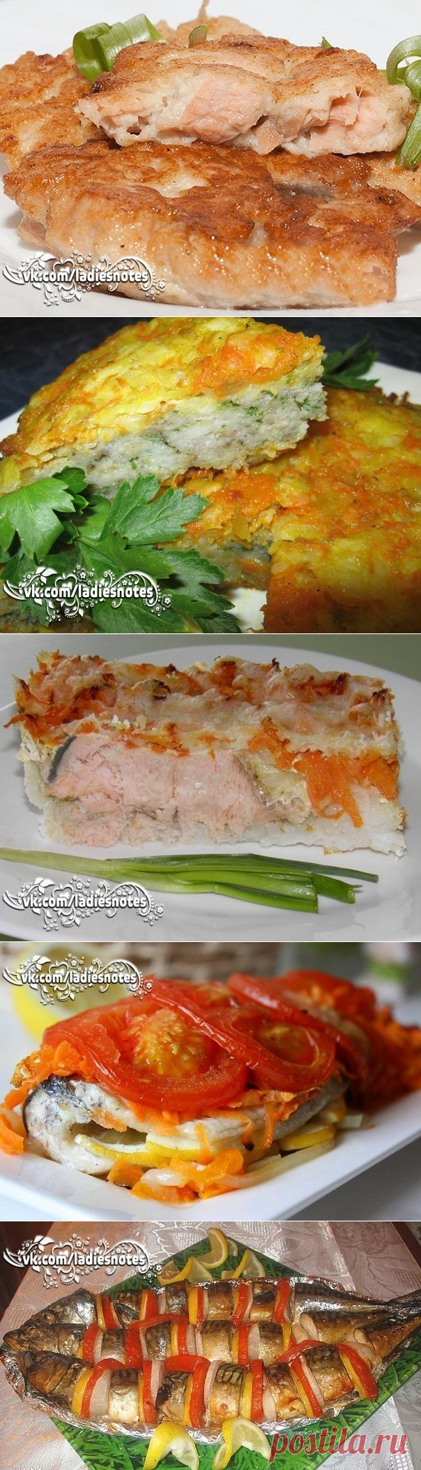 16 Рецептов необыкновенно вкусных блюд из рыбы.
Запеканка рыбная, запеканка рисовая, рыба в фольге, рыба с овощами, котлетки рыбные...