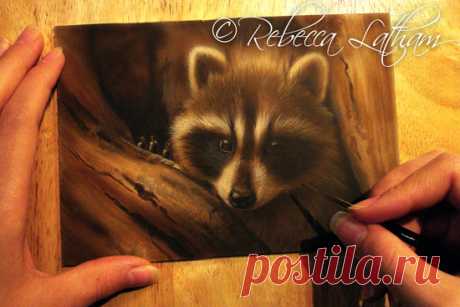 Молодой енот – работа в процессе | Картины дикой природы и природы Ребекки Лэтэм