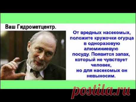 Вот тебе и огурец. Очень интересно 👍👍👍