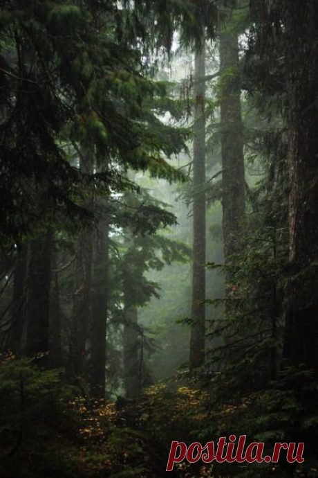 (162) Pinterest