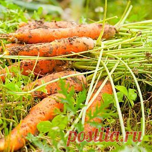 Вам сообщение!