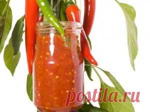 Как закрутить помидоры на зиму - рецепты лучшей аджики