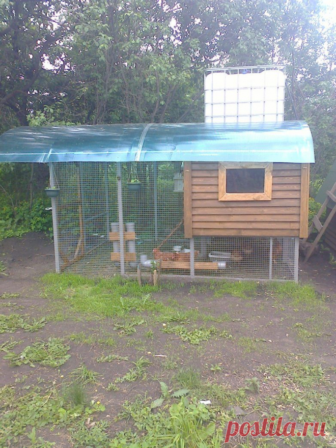 Курятник / Я - суперпупер