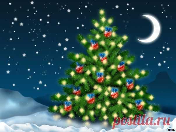 «<ДО НОВОГО ГОДА ОСТАЛОСЬ 24 ДНЯ »>