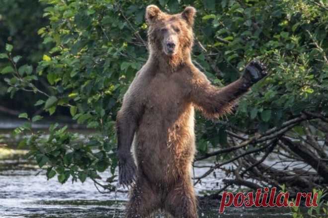 Наука | Журнал Популярная механика