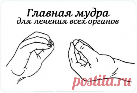 Мукула-мудра

Мудра кажется очень простой, но она весьма действенна. Пальцы, сложенные в мудру(Щепоть), прикладывают к больному или испытывающему напряжение месту для того, чтобы направлять туда энергию.
Различные органы связаны с определенными частями тела.
Приложите руку, сложенную в этой мудре, к больному месту, и вы тотчас же испытаете облегчение. Вы направляете в беспокоящую вас область мощный поток целительной энергии, подобный лазерному лучу. Это действенный метод л...
