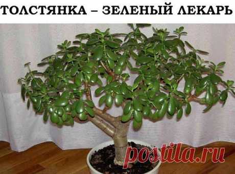 Домоводство. Хозяйкины премудрости