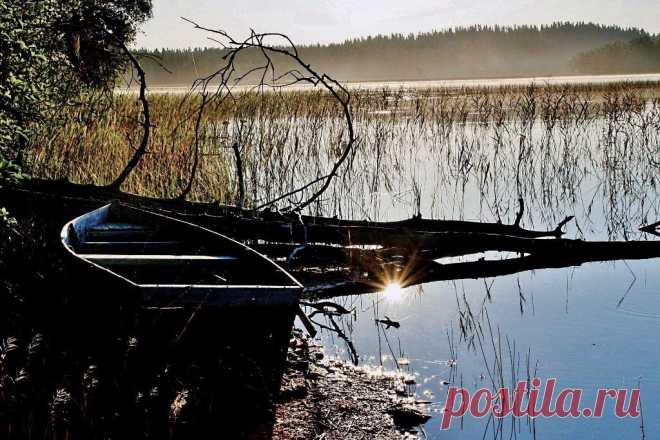 ФОТОМАСТЕРСКАЯ ПРИРОДЫ
Евгений Буточников