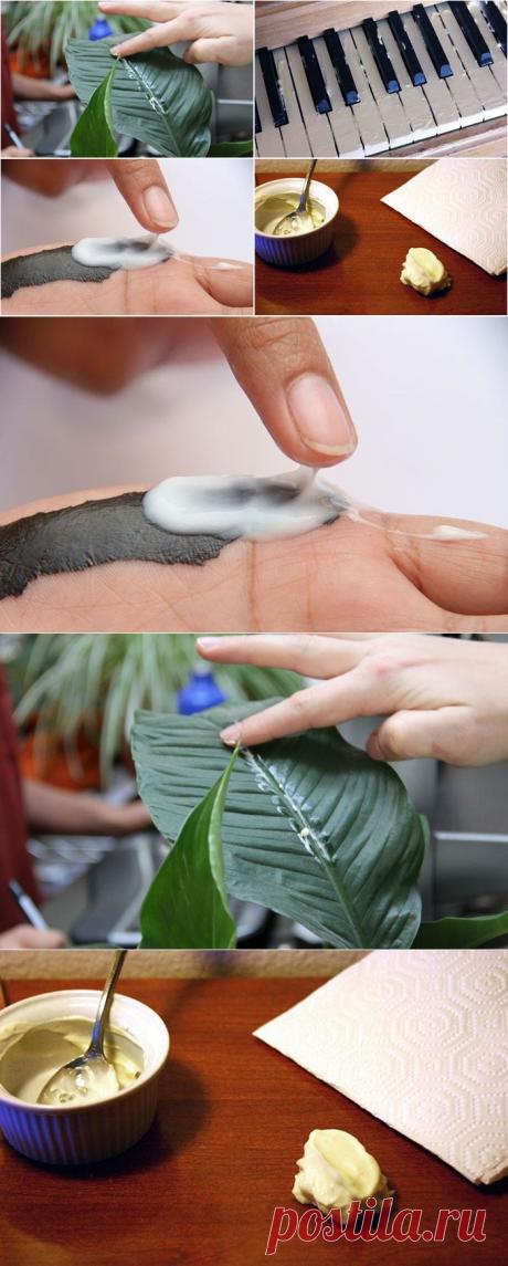 Майонез спешит на помощь: 10 неожиданных способов его использования