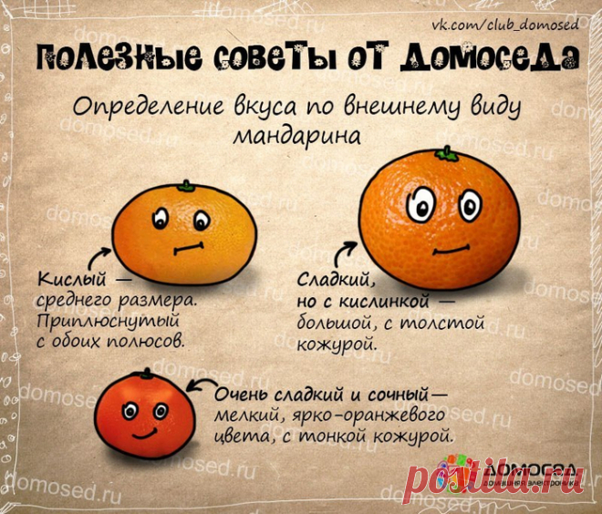 Очень полезные советы — Всегда в форме!