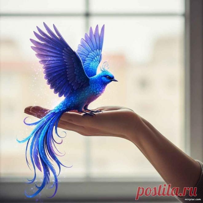 Привлечение удачи: как приручить синюю птицу - Психология для жизни - Разное - Каталог статей - MirPiar.com - Справочно-информационный портал