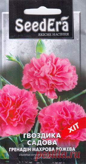 гвоздика Садовая Гренадин Махровая розовая 0,2 г - Купить семена цветов в Киеве – выгодная цена в Украине (Киев, Харьков, Одесса) – интернет-магазин семян «Cеньор Помидор»