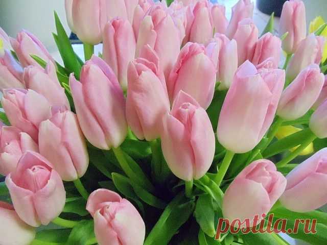 ᴼᴿᴵᴳᴵᴺᴬᴸ   SМАЙЛИКИ   (ړײ)
Нежная Дева