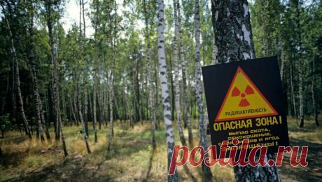 Медсестра рассказала о проблемах со здоровьем после родов из-за Чернобыля. Медсестра Инна Гуменюк, работавшая в Чернобыле после аварии на атомной электростанции, в беседе с "Лентой.ру" рассказала о проблемах со здоровьем. Медработница призналась, что после возвращения из Чернобыля казалось, что жизнь ...