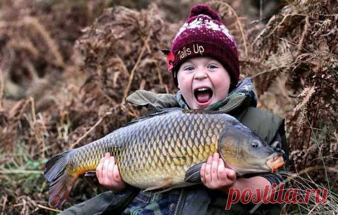 Лучшая наживка для ловли карпа в холодной воде Как уверены многие рыболовы именно, опарыш является наилучшей наживкой для ловли карпа весной. Сегодня расскажем про некоторые варианты использования этих личинок, которые помогут добыть желанный троф…