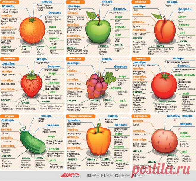 Когда созревают овощи и фрукты в разных странах? Инфографика | Инфографика | Аргументы и Факты