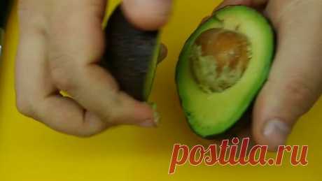 Показываю как вкусно есть авокадо (понравится даже тем, кто его не любит) | Готовим с Никой | Дзен