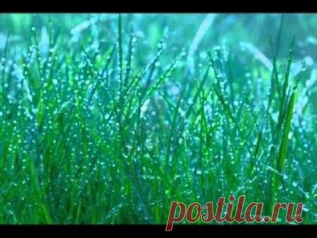 Полноценный отдых за 24 минуты