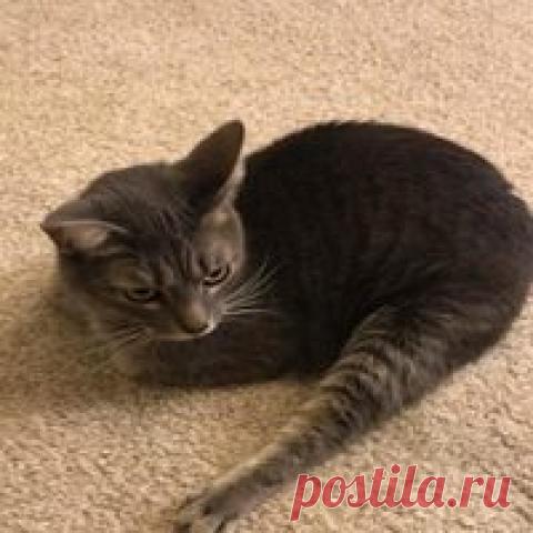 Жигули - это Машина! / Приколы