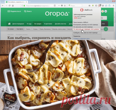 Тартифлет с курицей | Дачная кухня (Огород.ru)