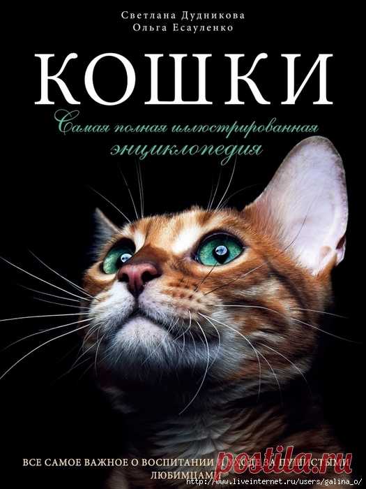 КОШКИ.САМАЯ ПОЛНАЯ ИЛЛЮСТРИРОВАННАЯ ЭНЦИКЛОПЕДИЯ.(2)