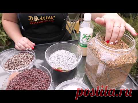 Удобрения для цитрусов - YouTube