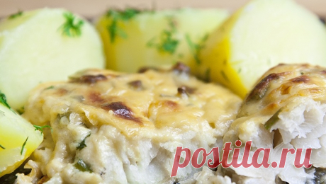 БАРРАКУДА В ЧЕСНОЧНО-СМЕТАННОМ СОУСЕ. Готовим на яхте.